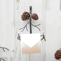 an envelope is hanging from a hook on a white wooden wall with pine cones and branches