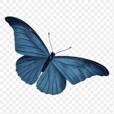 a blue butterfly flying in the sky with no background, hd png clipart