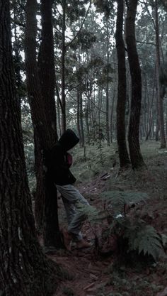 a person standing in the middle of a forest with their back turned against a tree