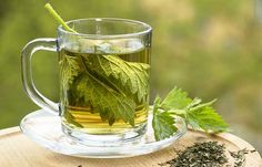 hemoglobin rich foods - Herbs Kwas Moczowy, Nettle Leaf Tea, Stinging Nettle, Kidney Cleanse, Tea Benefits, Iftar, Natural Medicine, Health Remedies, Herbal Remedies