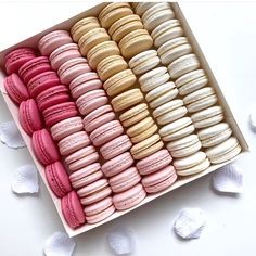 a box filled with lots of pink and white macaroons next to sea shells