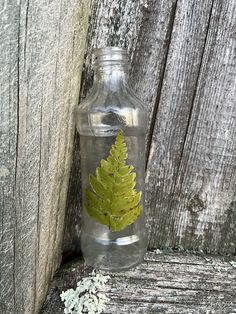 a glass bottle with a green leaf in it sitting next to a wooden plank wall