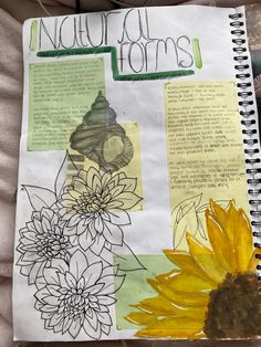 an open notebook with drawings and flowers on it