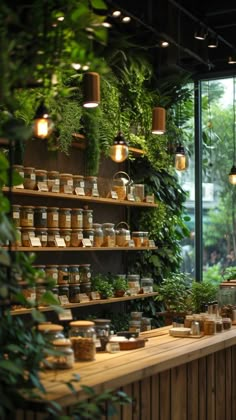 an indoor plant shop with lots of potted plants on the shelves and hanging lights