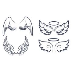 three different types of wings on a white background