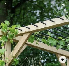 a wooden trellis with vines growing on it's sides in front of some trees