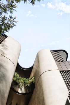 an upward view of the side of a building with trees growing out of it's sides