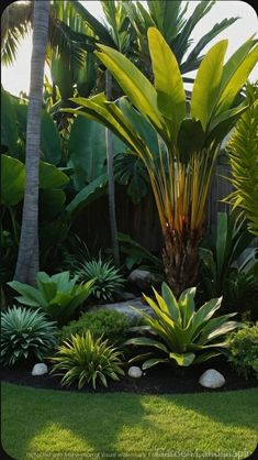 a lush green tropical garden with palm trees