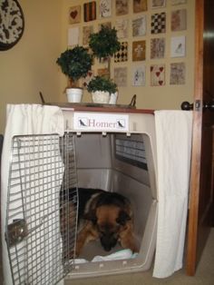 a dog is laying in its kennel with the door open and his head inside