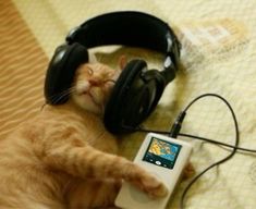 an orange cat laying on top of a bed next to headphones and a mp3 player