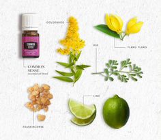 Goldenrod Essential Oil, Digging Deeper, Essential Oil Education, Lime Essential Oil, Ylang Ylang Essential Oil, Lime Oil, Dig Deeper, Homemade Products, Making Decisions