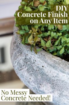 a close up of a plant in a pot with the words diy concrete finish on it