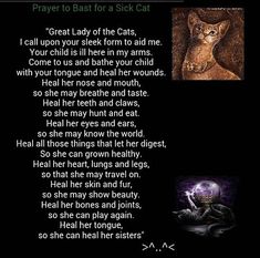 a poem written in black with pictures of cats and the words prayer to beat for a sick cat