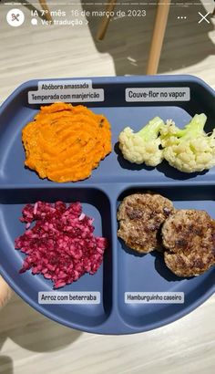 a person holding a blue tray with different foods on it, including meats and veggies