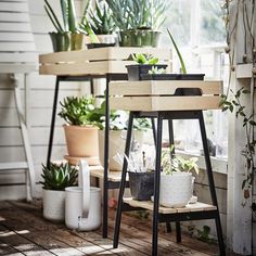 several potted plants sit on shelves in front of a window