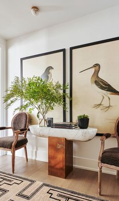 two birds are hanging on the wall above a table with chairs and a potted plant