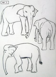 three drawings of elephants standing next to each other