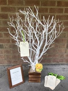 there is a small tree with white branches next to an open book on the ground