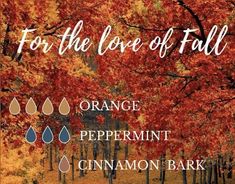 Young Living Essential Oil Diffuser, Fall Diffuser Blends, Aromatherapy Recipes, Yl Essential Oils, Essential Oil Blends Recipes