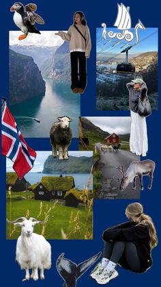 a collage of pictures with people and animals in them including sheep, birds, mountains, water