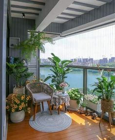 a balcony with potted plants on the floor and a table in front of it