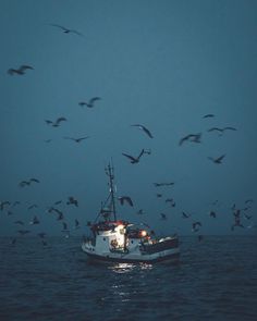 a boat in the water with seagulls flying around it