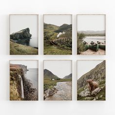 four photographs of animals on the side of a hill with water and mountains in the background