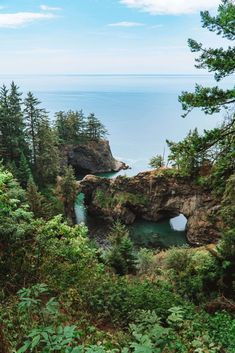 the ocean is surrounded by trees and rocks