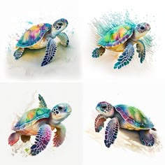 four pictures of sea turtles with different colors