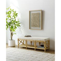 a white rug with a wooden bench in front of it and a potted plant next to it