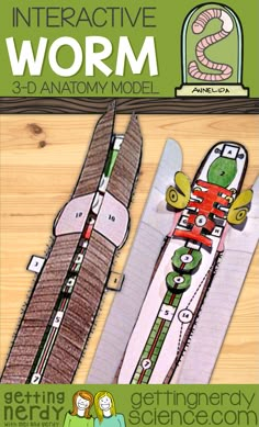 two snowboards with the words interactive worm and an image of a snake on them