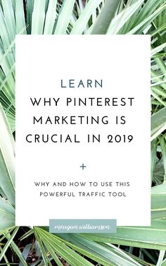 palm leaves with the words learn why pinterest marketing is crucial in 2019