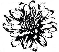 a black and white drawing of a flower