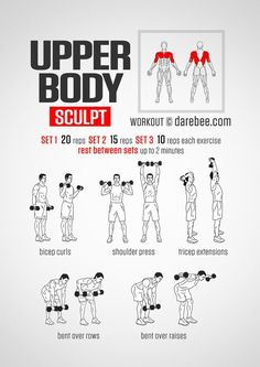 the upper body sculpt workout poster shows how to do it with dumbbells