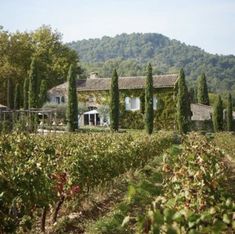 a house surrounded by trees and bushes in the middle of a field with mountains in the background