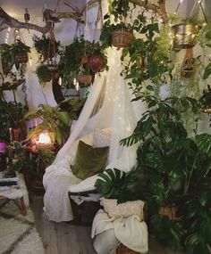 a room filled with lots of potted plants