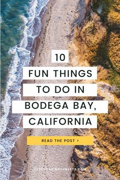 an aerial view of the beach with text overlay that reads 10 fun things to do in bodega bay, california read the post