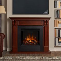 a living room with a television and fire place in the fireplace, surrounded by bookshelves