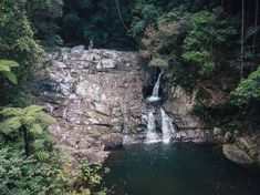 a man standing on top of a waterfall next to a lush green forest filled with trees