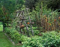 a garden filled with lots of different types of plants and flowers next to a wooden fence