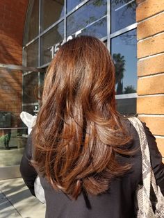 Autumn Red Hair Color, True Autumn Hair, Brunette Ginger Hair, Ginger Balayage On Brown Hair, True Autumn Hair Color, Copper Highlights On Brown Hair, Dark Ginger Hair, Hairstyles Layers, Brown Auburn Hair