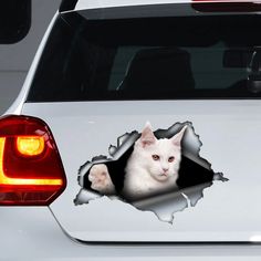 a white cat sticking its head out of a hole in the side of a car