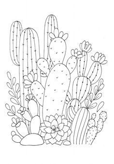 I am graphic designer and artist. I have 4 years experience in this sector. I love to do unique and eye catching design. So I love to do any kind of graphic related work at all. Embroidered Plants, Drawing Cactus, Embroidery Cactus, Succulents Drawing, Cactus Drawing, Cactus Succulents, Cactus Art, Coloring Book Art