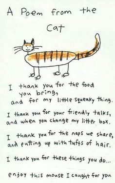 a poem from the cat written by person