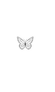 a black and white drawing of a butterfly