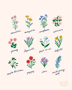 flowers are arranged in different languages on a white background, with the words spring written below them