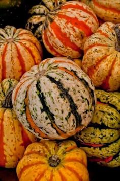 many different colored gourds are stacked on top of each other in this pile