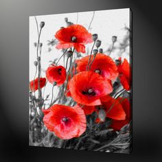 black and white photograph of red flowers on canvas wall art print - product images are not available