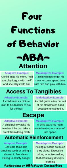 the four functions of behavior in children's playrooms infographical poster