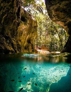 an image of the inside of a cave with water and fish swimming in it that says i am cave